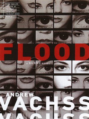 cover image of Flood